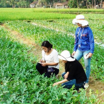 Nguyễn Thị Bích Lợi - Miệt mài cùng nông dân